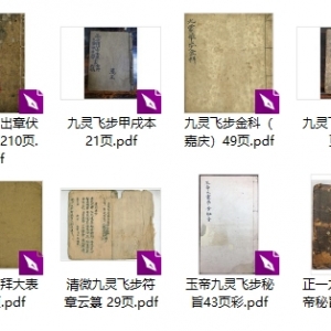九灵飞步合集（15本）
