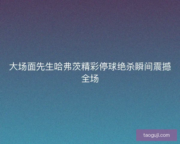 大场面先生哈弗茨精彩停球绝杀瞬间震撼全场